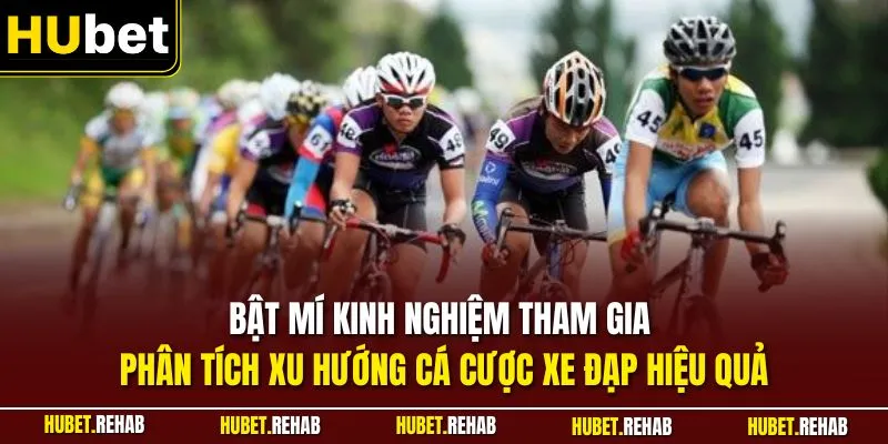 Bật mí kinh nghiệm tham gia phân tích xu hướng cá cược xe đạp hiệu quả