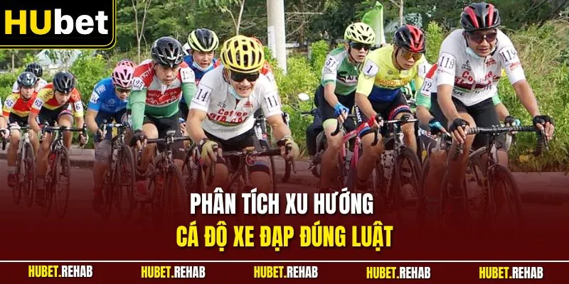 Phân tích xu hướng cá độ xe đạp đúng luật