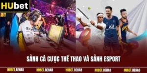 Sảnh Cá Cược Thể Thao Và Sảnh Esport| Sân chơi Hot Nhất HUBET